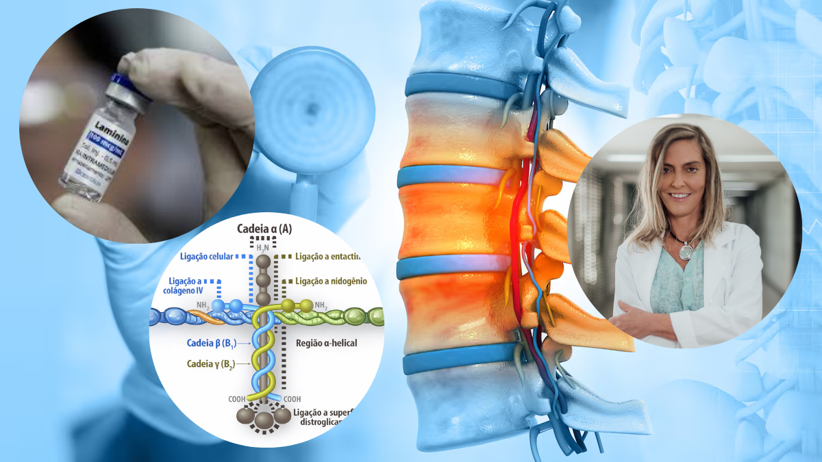 Polilaminina em 2026